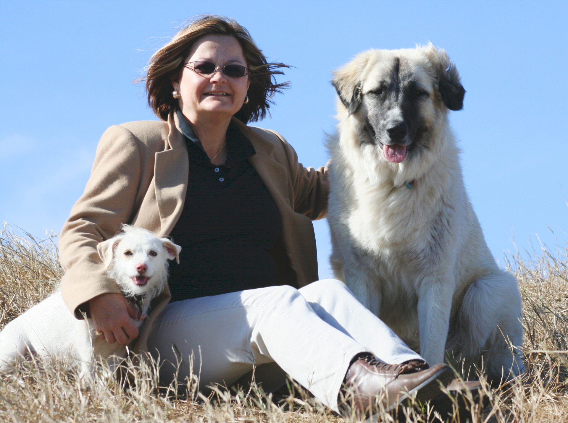 Dog trainer with two dogs