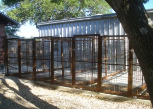 Outdoor Dog Kennels