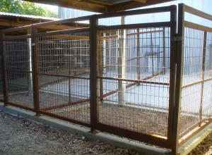 Outdoor Dog Kennels