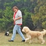 A woman walking two dogs.